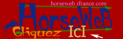 HorseWeb